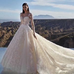 PLATINUM Wedding Dress Pronovias Privee collection 2024 | Paris Boutique